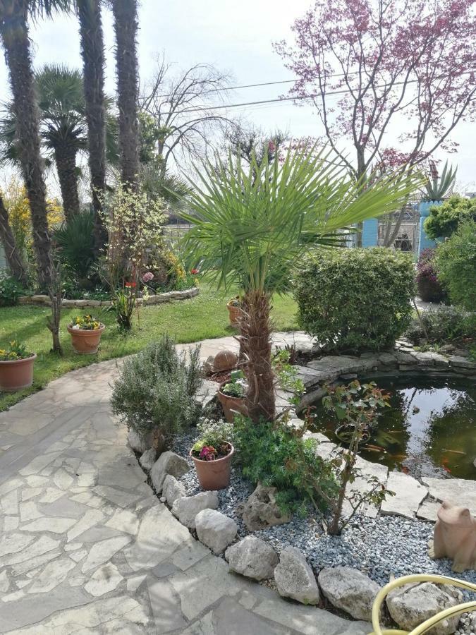La Carlottina Villa Codevigo Ngoại thất bức ảnh